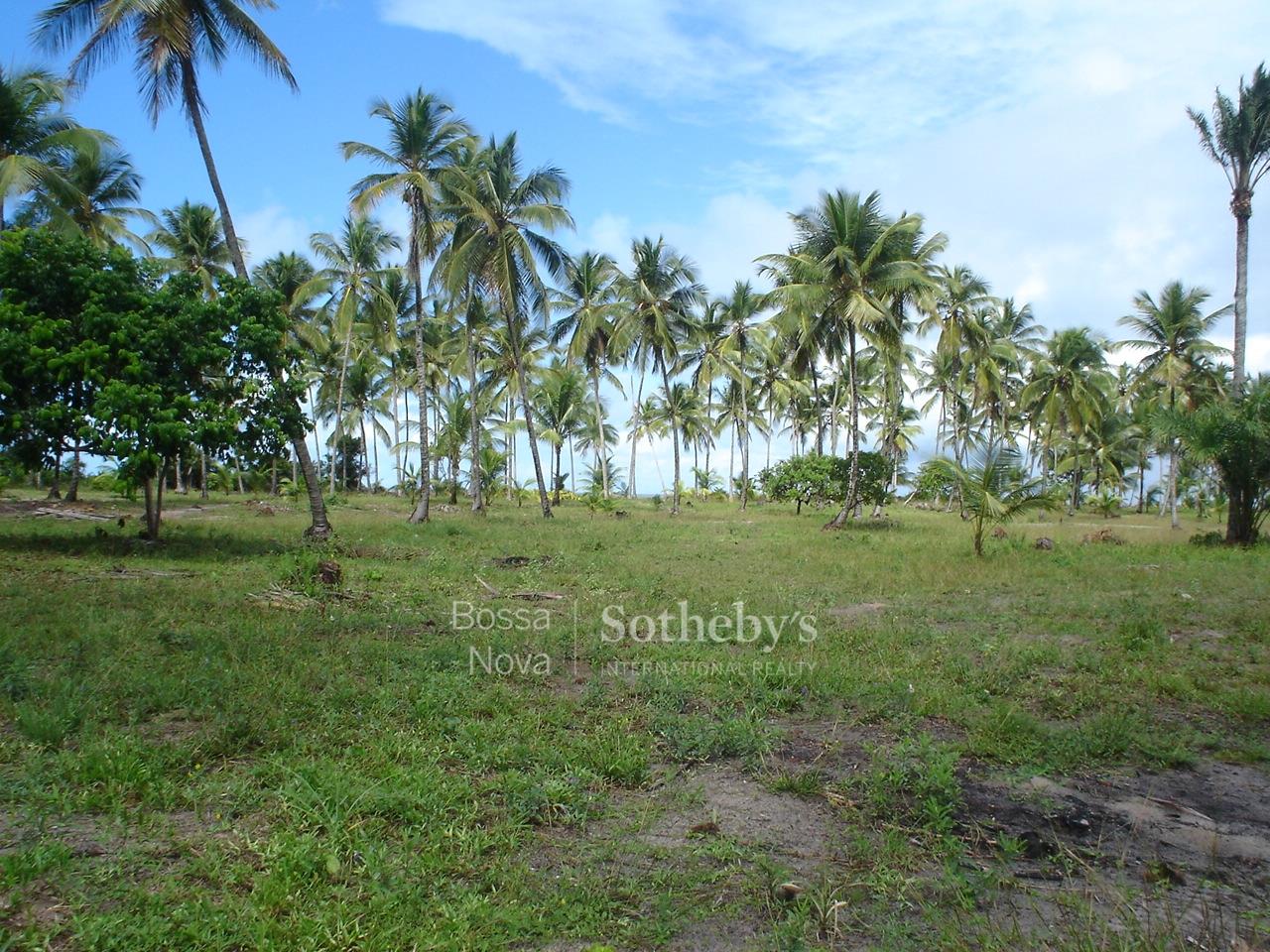 Terreno para venda em Bela Vista