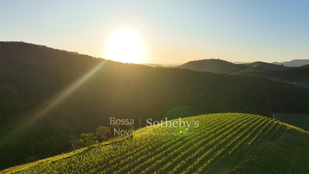 Fazenda para venda em Bela Vista