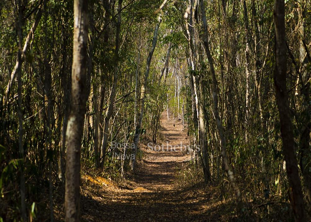 Fazenda para venda em Bela Vista