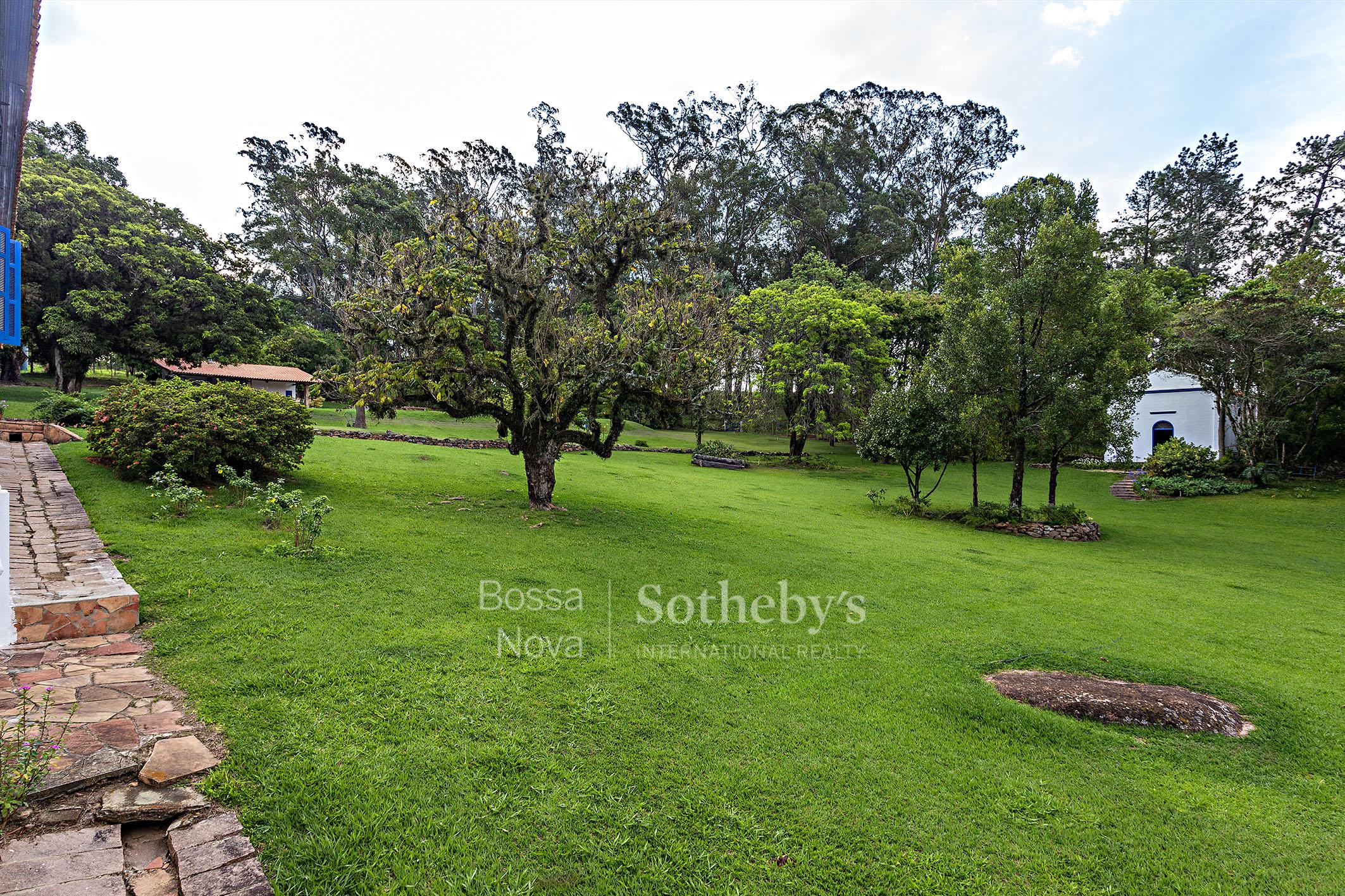 Fazenda para venda em Alto da Lapa