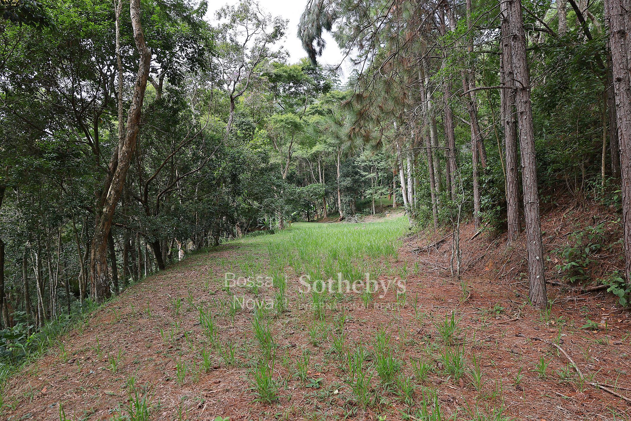 Casa para venda em Bela Vista