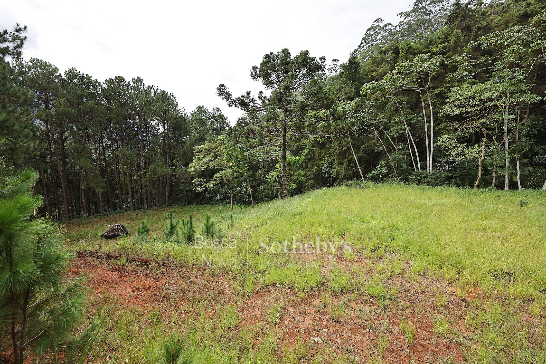 Casa para venda em Bela Vista