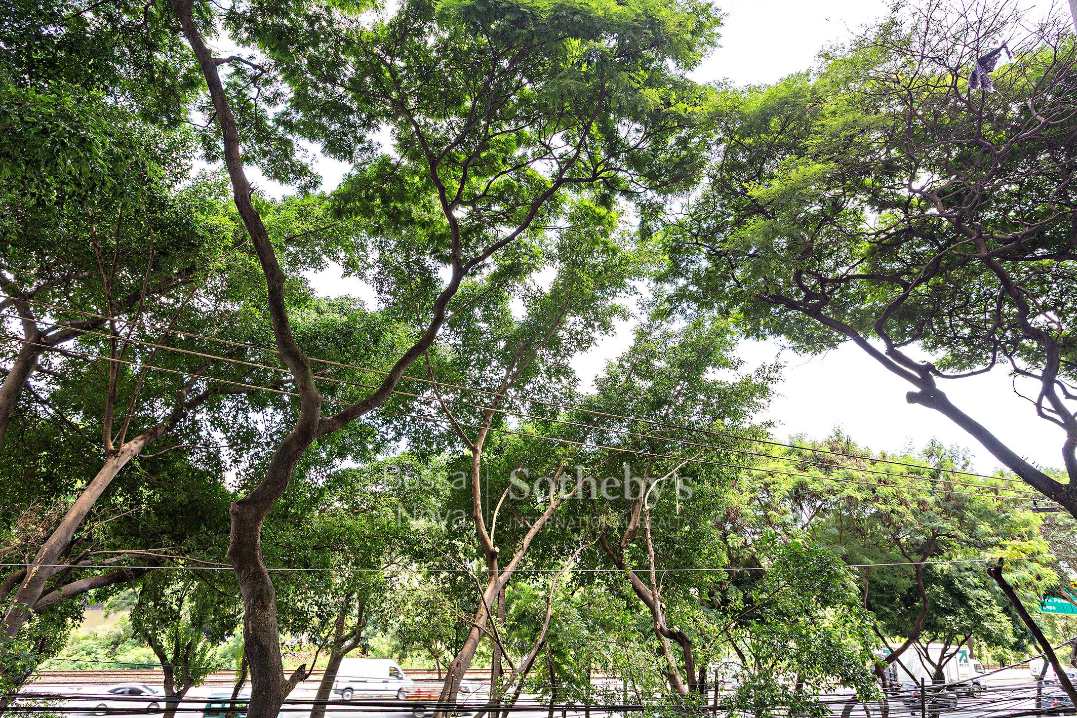 Apartamento para venda em Jardim Paulistano