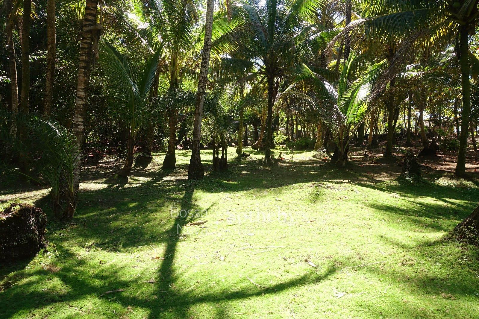 Fazenda para venda em Bela Vista