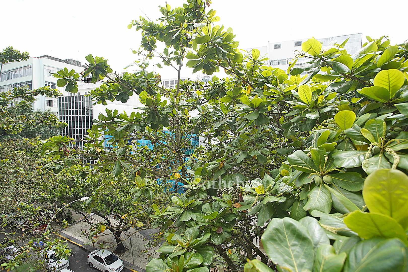 Apartamento para venda em Bela Vista