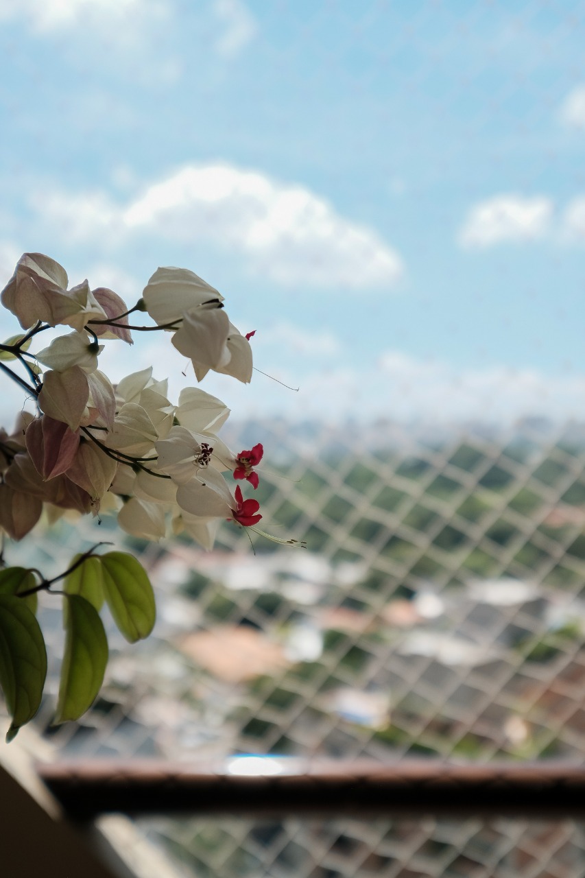Cobertura para venda em Vila Nova Conceição